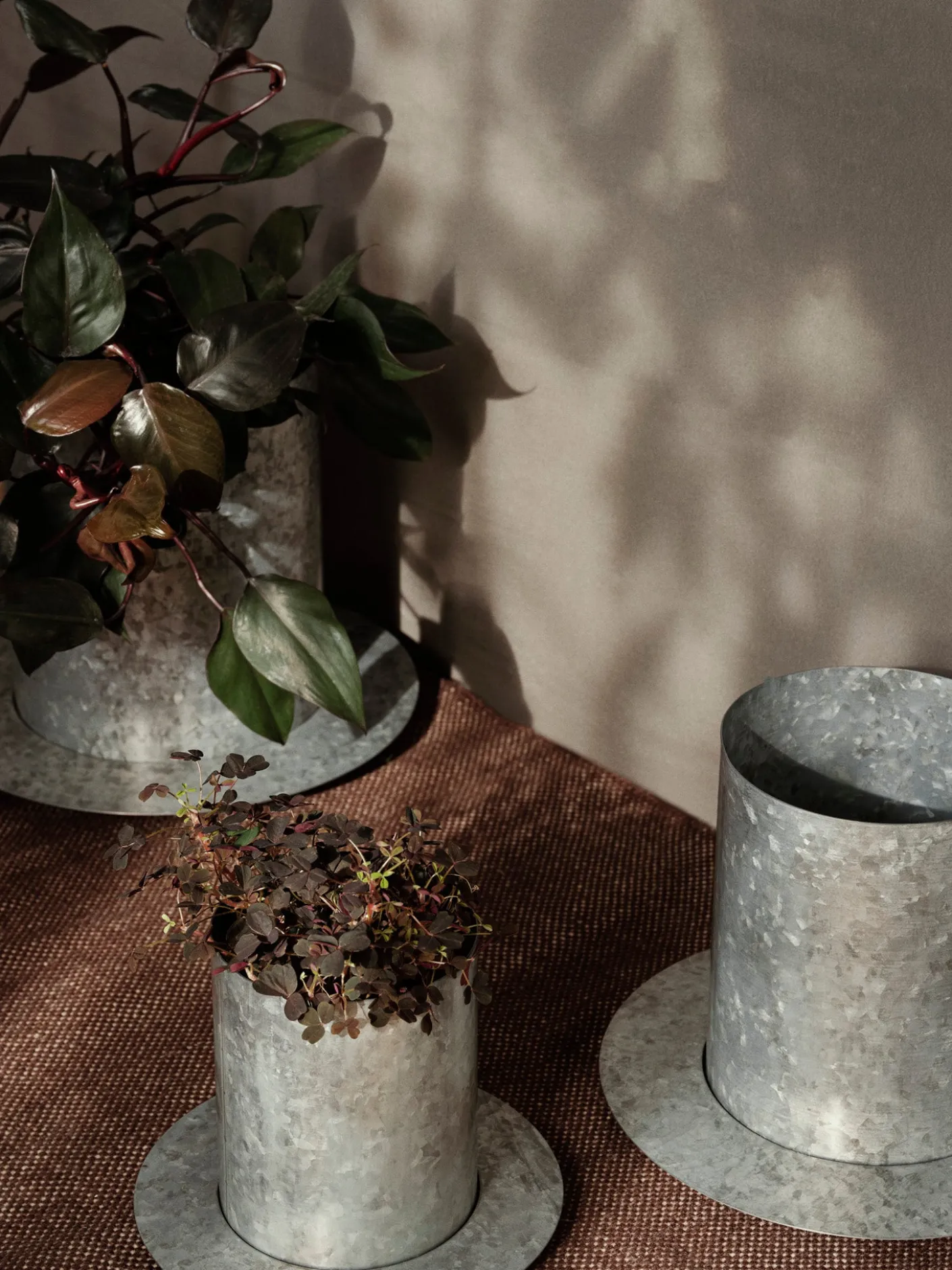 Auran Pot