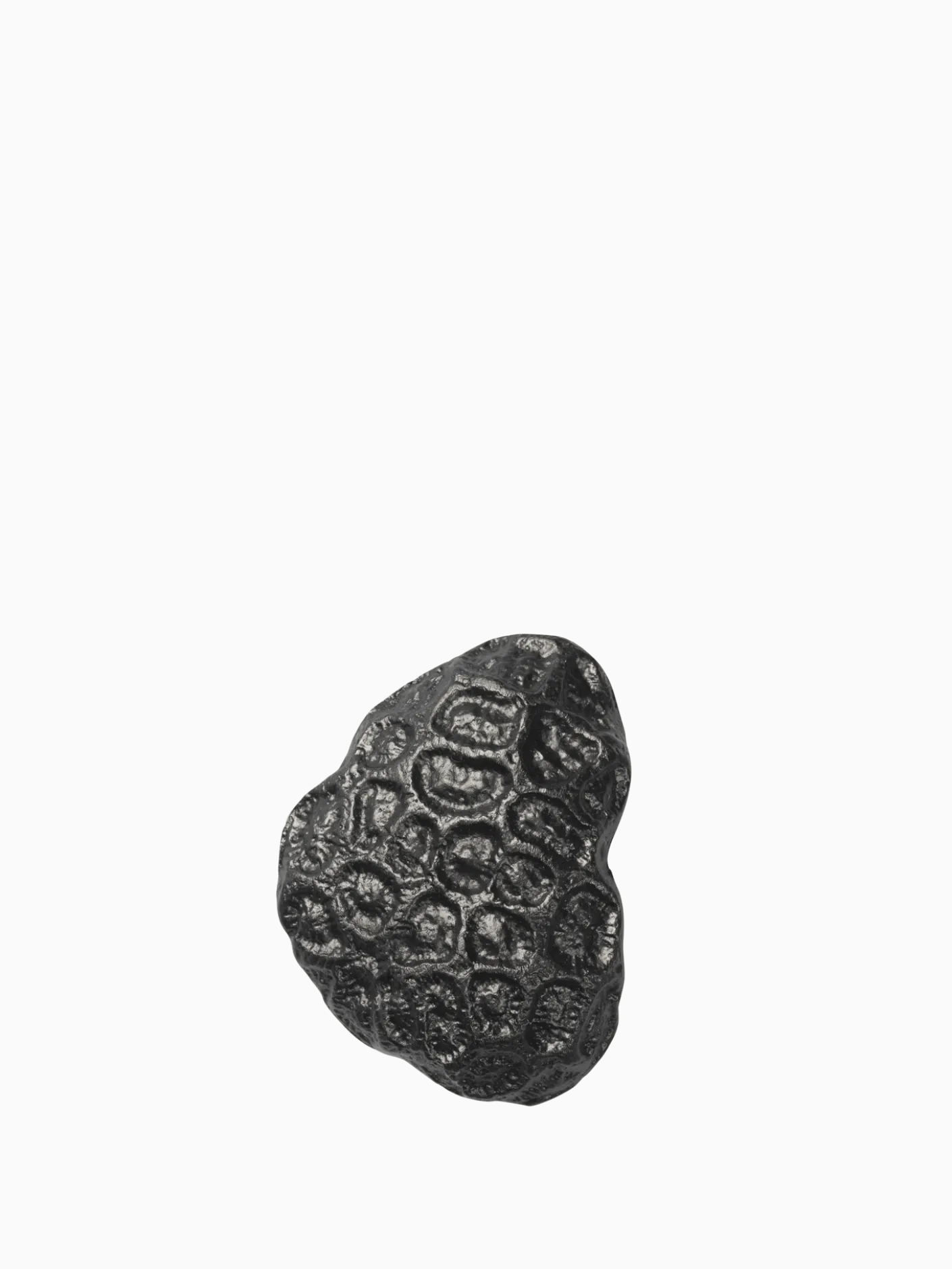 Comber Coral Hook