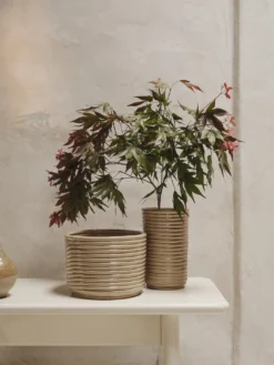 Corduroy Pot