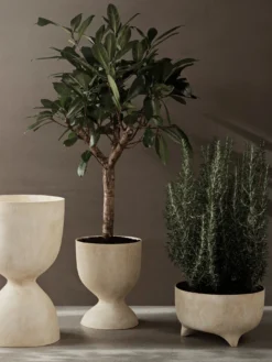 Evoke Pot - Tall