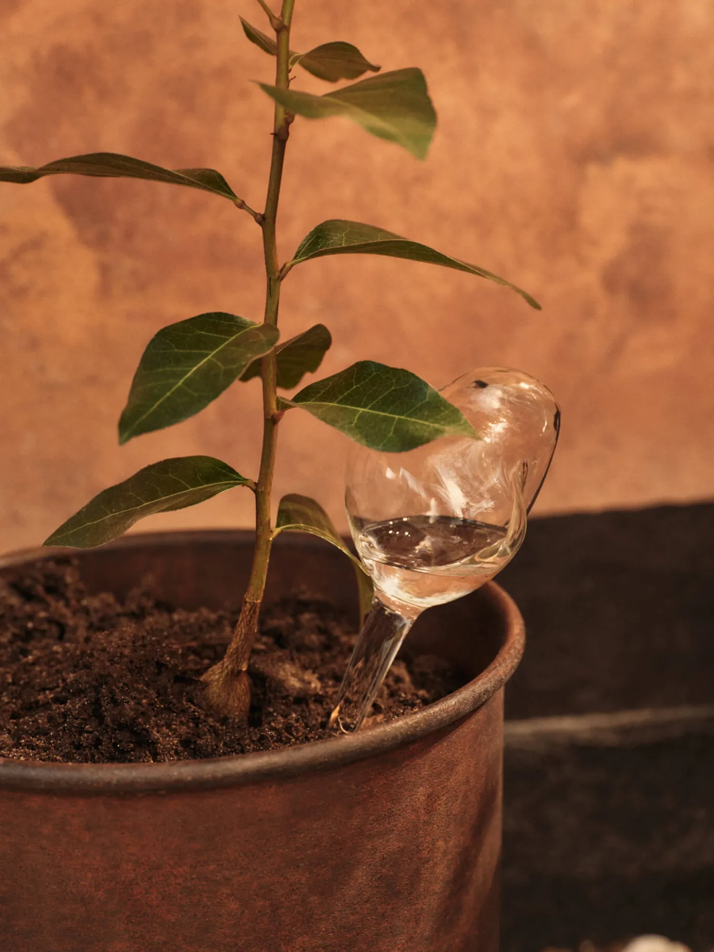 Mercury Water Globes - Small - Set of 2